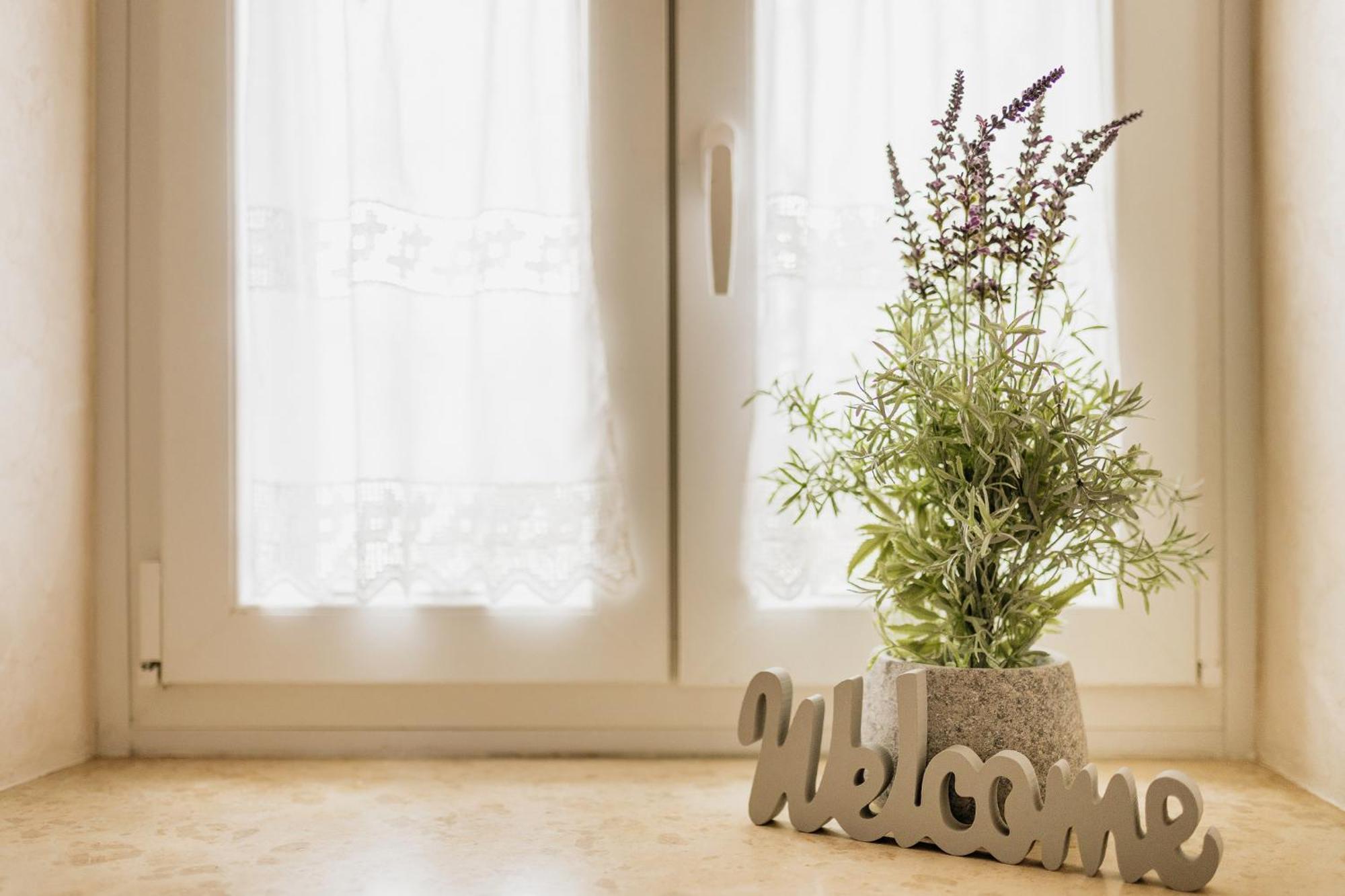 Apartments Mirna Stress Free Babici Екстериор снимка